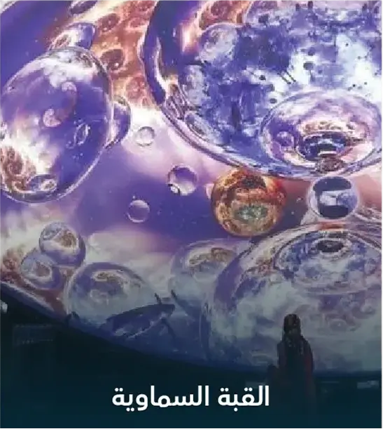 ثقافة 7